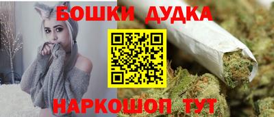 прущие грибы Усть-Джегута