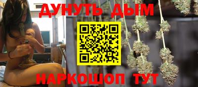прущие грибы Усть-Джегута