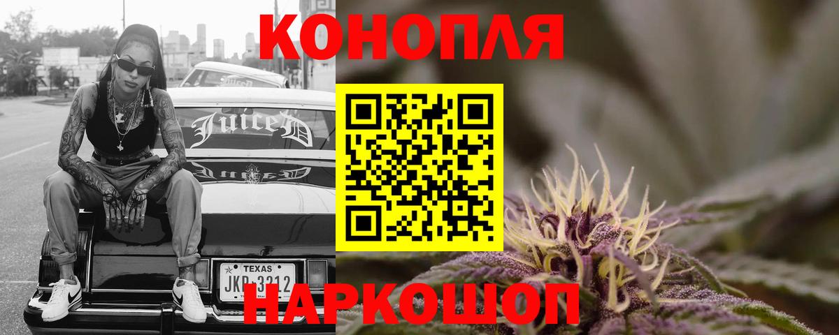 Бошки Шишки планчик Новоалександровск